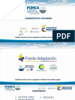 Resultados Fase Diagnostico Rio Cocorna DMM PDF