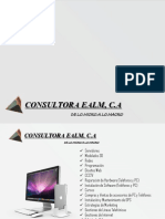 Consultora EALM PDF
