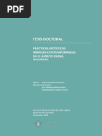 Prácticas artísticas híbridas contemporáneas en el ámbito rural. Paraisurrural.TESIS.pdf