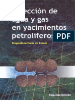 Inyeccion de Agua y Gas en Yacimientos PetroliferosMagdalena Paris NoPW PDF