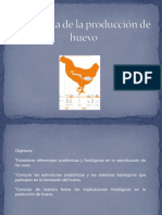 Fisiología Producción Huevo 2016-2 PDF