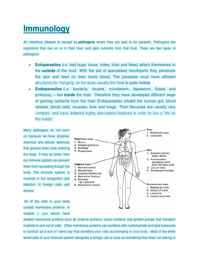 Immunology Ectoparasites (I.e. Bed Bugs, Louse, Mites, Ticks and Fleas