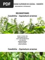 Trab de Fitoterapico - Cavalinha