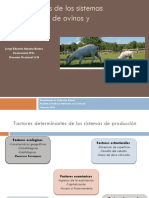 Sistemas de Producción de Ovinos y Caprinos Veterinaria II 2017 PDF