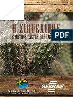 Livro_XiqueXique.pdf