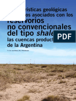 Caracteristicas de reservorios no convencionales.pdf