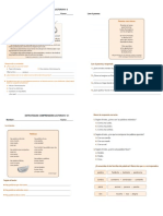 Estrategias Comprensión Lectora N°3