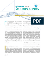09_671_Acuaporinas.pdf