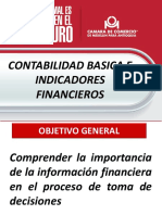 CONTABILIDAD_BASICA_E_INDICADORES.PDF