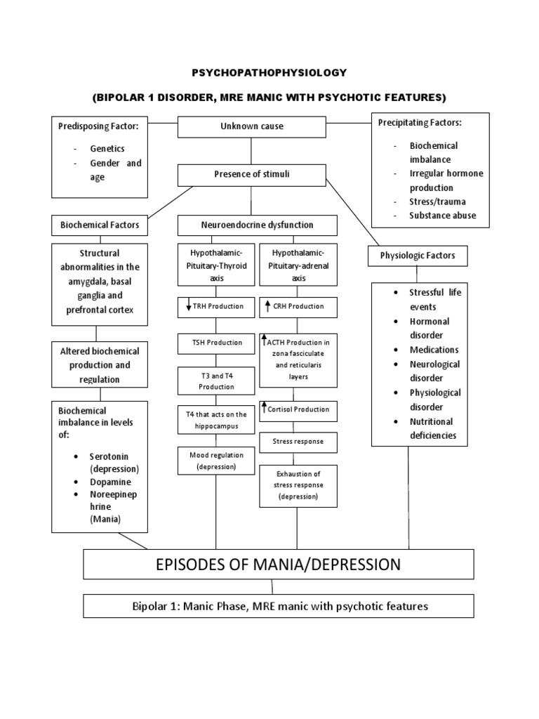 Episodes of mania depression psychopathophysiology bipolar 1 disorder