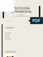 PRACTICA EXPERIMENTAL CLASE 01.pptx