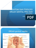 Anatomi Dan Fisiologi Organ Reproduksi