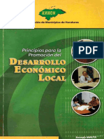 principios-para-la-promocion-del-desarrollo-economico-local (1).pdf