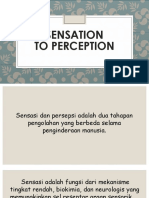 Sensation To Perception