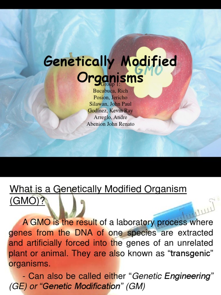 Overview of Genetically Modified Organisms | PDF | Genetically Modified ...