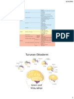 turunan-ektoderm-mata.pdf