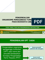 Pengendalian OPT Pada Budidaya Cabai