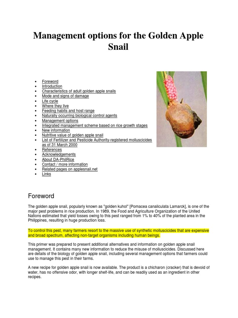 Management Options For The Golden Apple Snail Pdf Agriculture Nature