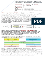 Abs, Asr, Esc