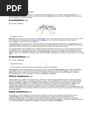 Skeleton