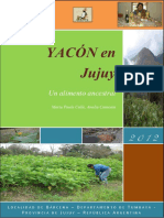 yacón-en-jujuy-un-alimento-ancestral.pdf