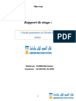 rapport LPEE CEMGI- CHABBOUBA Hicham.pdf