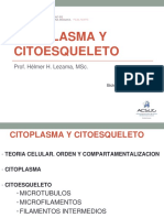 4 Bcm 18 II Li 03 Citoesqueleto Heli