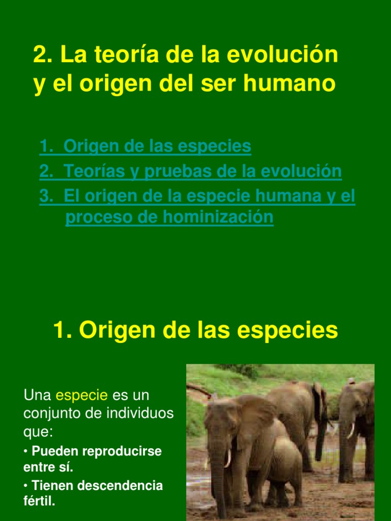 Teoría de la Evolución y Origen Humano | PDF | Seleccion natural ...