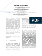 Informe datagramas.pdf