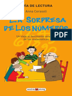 Guia La Sorpresa de Los Numeros PDF