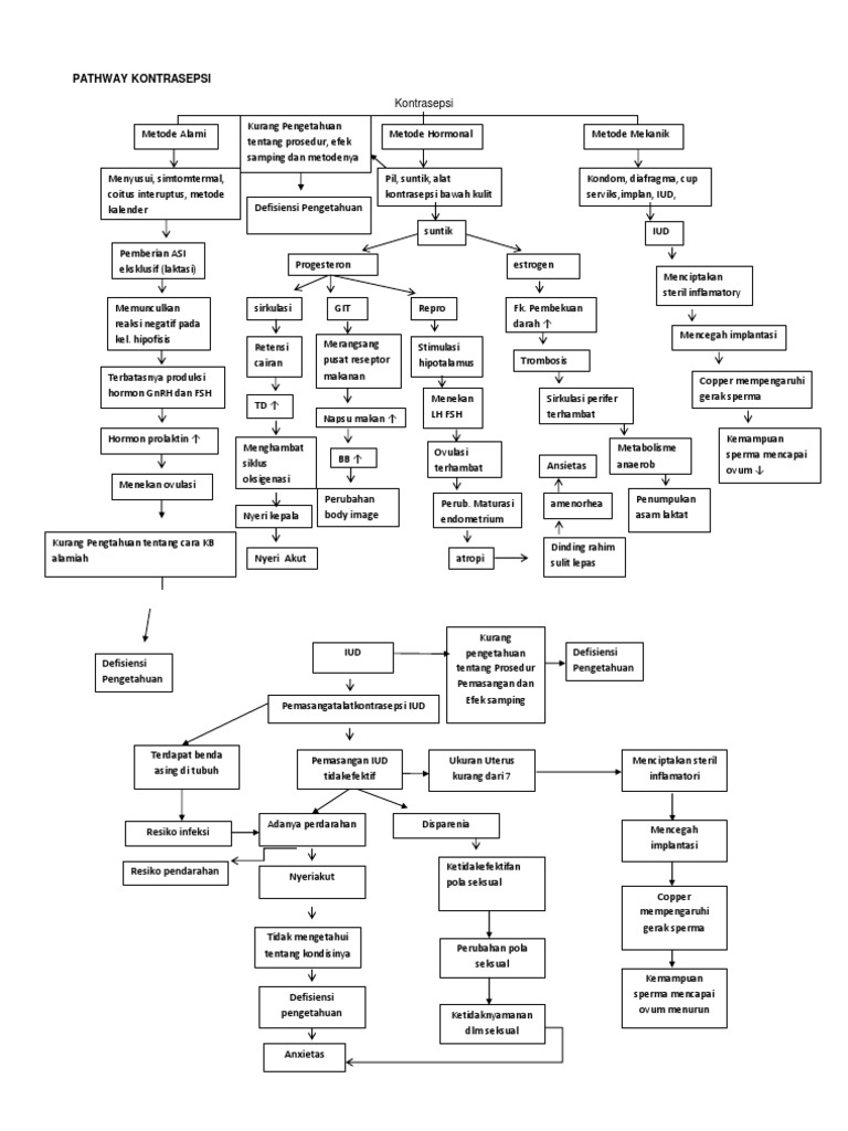 Pathway Kontrasepsi dan Patofisiologi | PDF