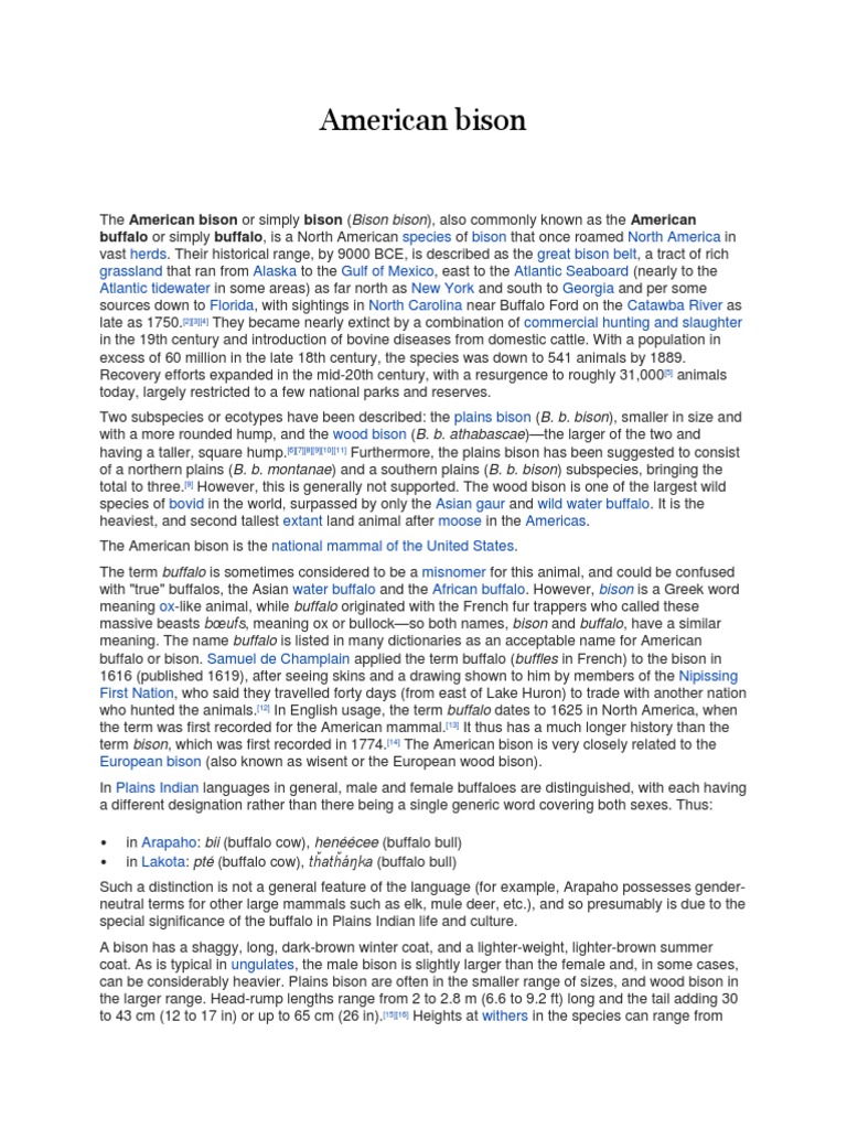American Bison: Buffalo or Simply Buffalo, Is A North American | PDF ...