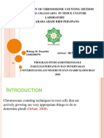 Optimization of Chromosome Counting Method in Acacia Crassicarpa in Tissue Culture Laboratory PT Arara Abadi R D Perawang