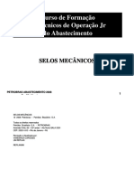Petrobras - Selos Mecânicos PDF