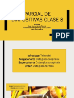 Parcial Diapositivas Clase 8 PDF