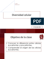 8° Presentación 17 - Tipos de Celulas