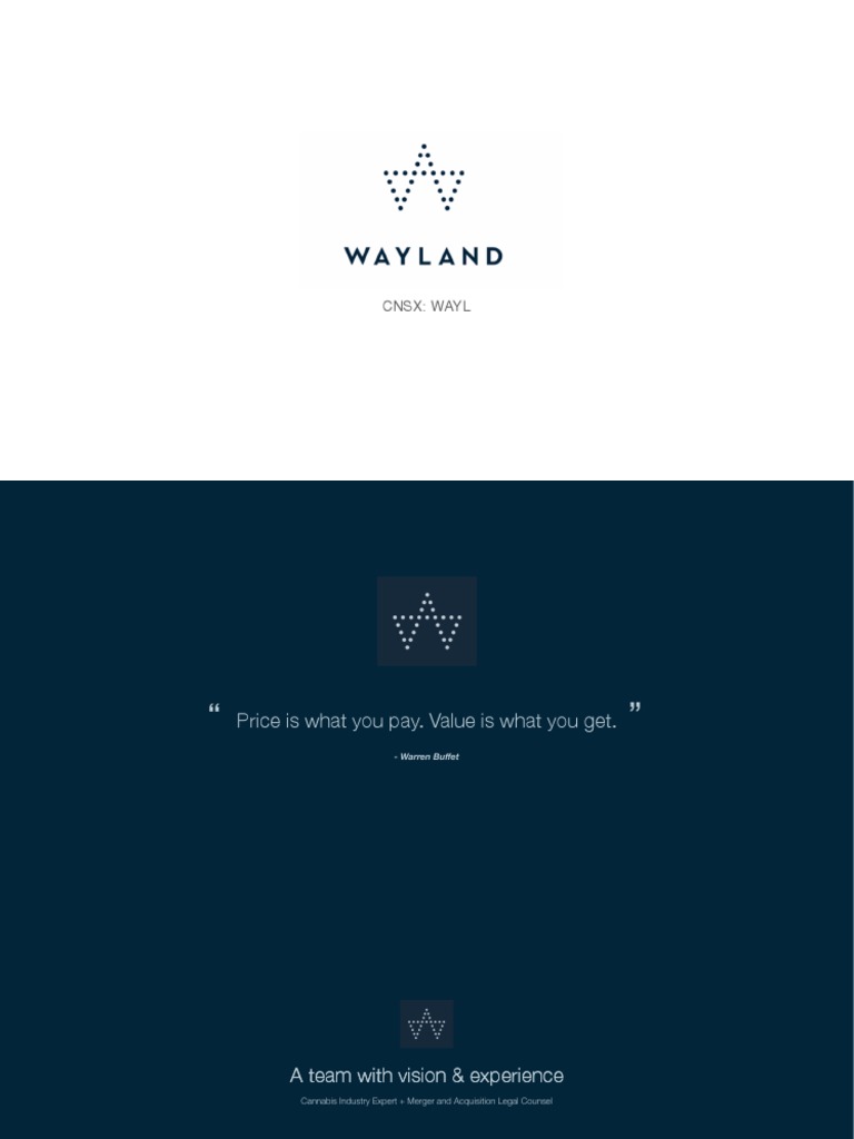 Wayland Group PDF Economies Business