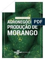 Produção de Morango Na Bahia_2