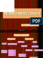 Sistema Nervioso[1]
