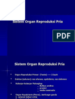 Organ Reproduksi - Ruspawan.ppt