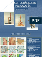 microscopia (7).pdf