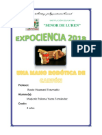 EXPOCIENCIA.docx