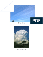 Cirrus cloud.docx