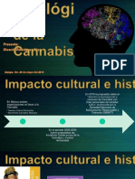 Efectos Neurológicos de La Cannabis - Rodríguez Diaz Divanhi