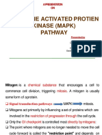 Mitogene Activated Protien Kinase (Mapk) Pathway: A Presentation ON