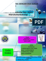 Asam Dikarboksilat Dan Asam Hidroksikarboksilat