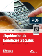 cartas_servicios_liquidaciones.pdf