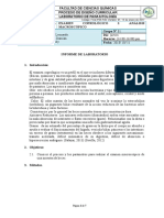 Informe 2