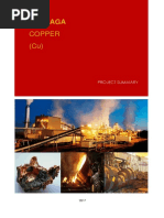 Panduan Pendaftaran IKRAP RAPI | PDF