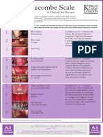 Challacombe Scale ENG PDF